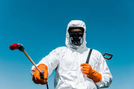 Best Pest Prevention Services  in Star Valley, AZ